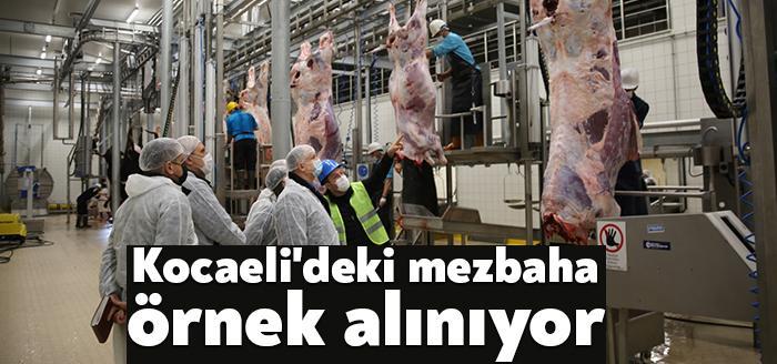 Kocaeli Büyükşehir Belediyesi’nin İzmit ilçesi Solaklar mevkiinde yaptığı modern mezbaha