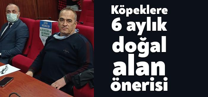 İzmit’te sokak hayvanları sorunun çözülmesi için İzmit Belediye Meclisi’nde MHP’li