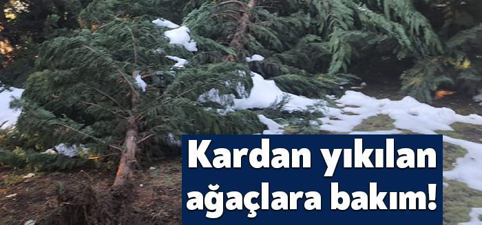 Kocaeli Büyükşehir Belediyesi geçtiğimiz hafta etkili olan kar yağışının ardından