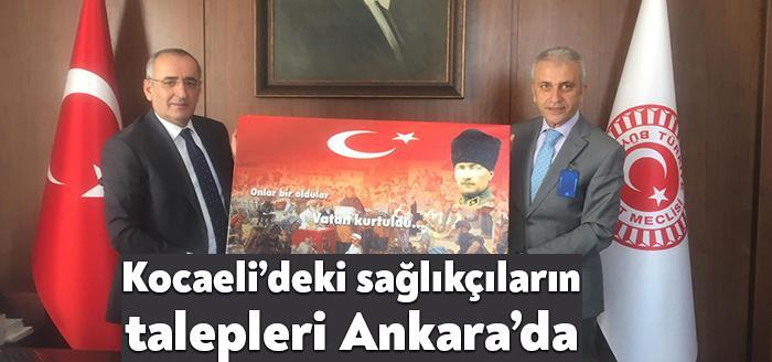 Türk Sağlık Sen Kocaeli Şubesi Başkanı, Türkiye Kamu Sen Denetleme