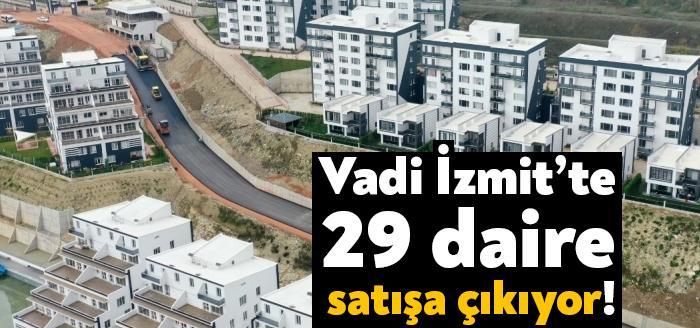 Vadi İzmit Projesi kapsamında gerçekleştirilen ilk iki ihalenin ardından, 29