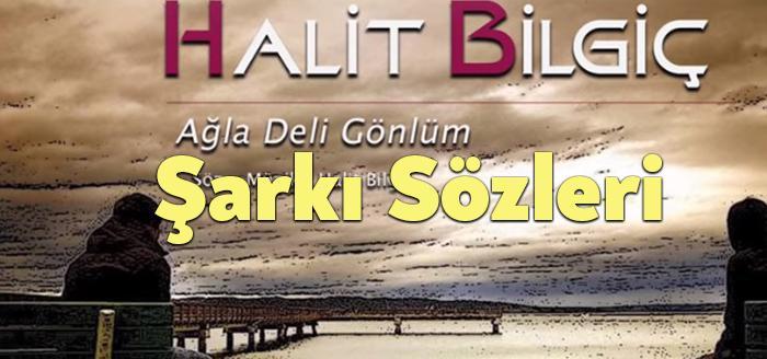 Halit Bilgiç Ağla Deli Gönlüm Şarkı Sözleri, dinleyiciler tarafından merak