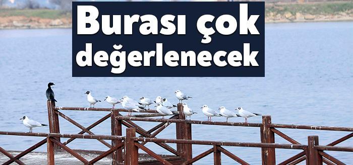 Kocaeli Büyükşehir Belediye Başkanı Tahir Büyükakın, Darıca Bayramoğlu sahilinde bulunan