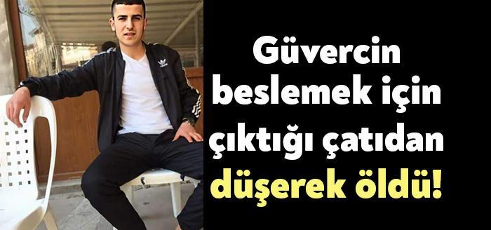 Körfez Yalı Mahallesi'nde ikamet eden Ercan Dinçer adlı 19 yaşındaki