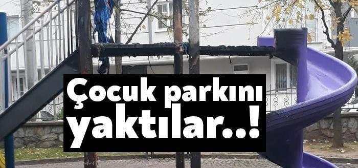 Gebze'de yer alan Barış Deresi Parkı'nda önceki akşam yangın çıktı.