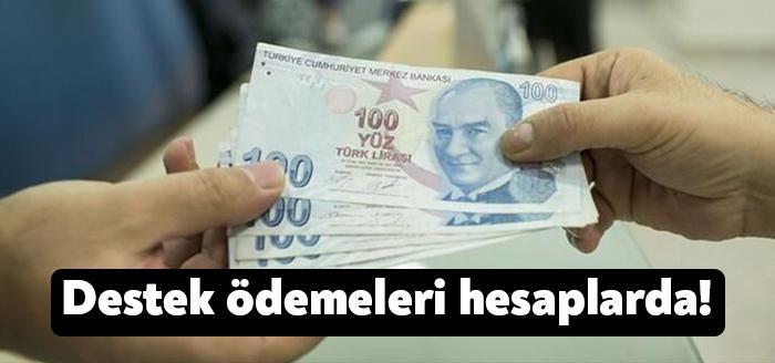 Ticaret Bakanı Ruhsar Pekcan, esnaf ve sanatkarlar ile gerçek kişi