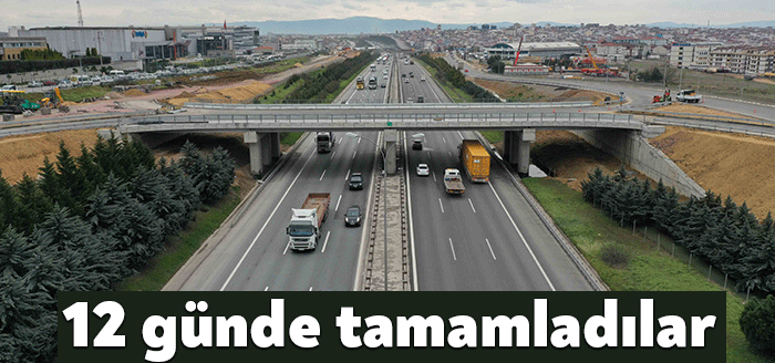 ‘Gebze İlçesi TEM Otoyolu Köprüleri Bağlantı Yolları 1. Etap Yapım