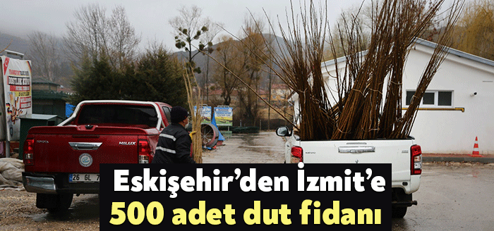 İzmit Belediyesinin üreticiyi desteklemek ve ipek böcekçiliğini canlandırmak için hayata