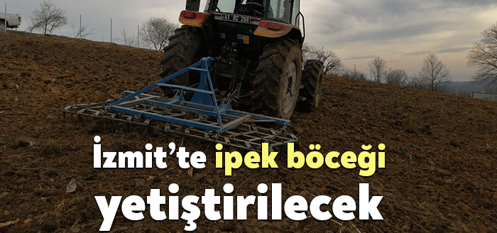 İzmit Belediyesi, her yaştan aile bireylerinin üretime katılarak 35-40 günlük