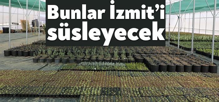 Kendi serasında üretim yaparak şehri güzelleştirirken belediye bütçesine katkı sağlayan
