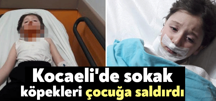 Kocaeli'nin Başiskele ilçesinde anne ve babasıyla birlikte ekmek almaya çıkan