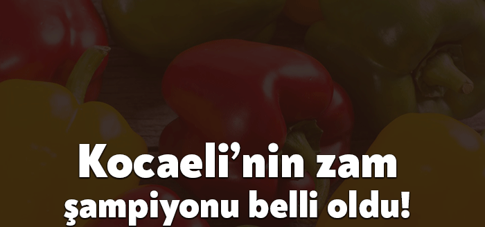Türkiye İstatistik Kurumu Başkanlığı Kocaeli Bölge Müdürlüğü verilerine göre Kocaeli’nin