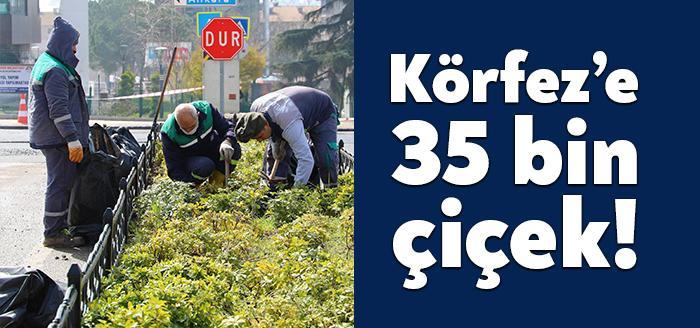 Körfez Belediyesi Park ve Bahçeler Müdürlüğü ekipleri, 1 yıl içerisinde