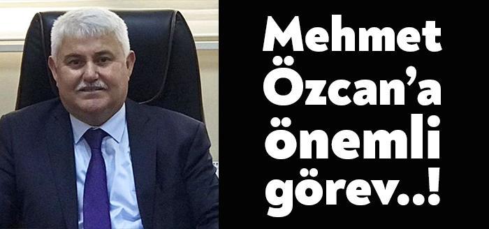 Körfez’de eğitim hayatına başlayan Safir Koleji Körfez Kampüsü’nde Ortaokul Müdürü