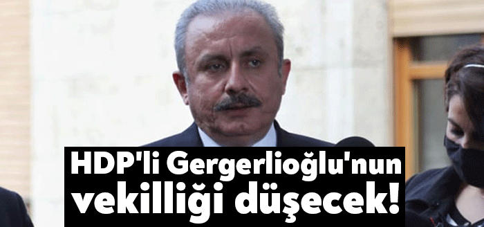 TBMM Başkanı Mustafa Şentop, HDP Kocaeli Milletvekili Ömer Faruk Gergerlioğlu
