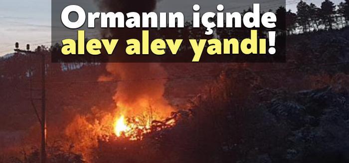 Kocaeli'nin Derince ilçesinde, bir barakada çıkan yangın, ormanlık alana sıçramadan