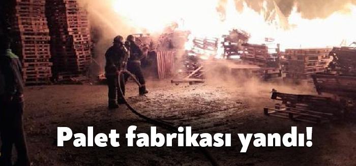 Kocaeli'nin Gebze ilçesinde bir palet fabrikasının depolama alanında çıkan yangın,