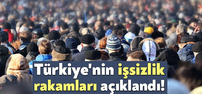 Türkiye genelinde 15 ve daha yukarı yaştakilerde işsizler 2020 yılında