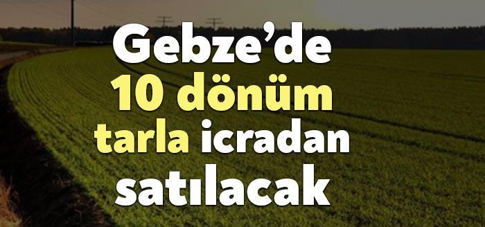 Gebze Denizli'de bulunan 10 bin 412 metrekare tarlayı icradan satışa
