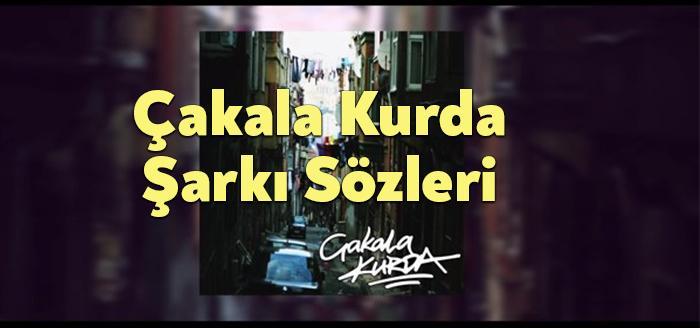 Sansar Salvo Burak King Çakala Kurda Şarkı Sözleri, dinleyiciler tarafından