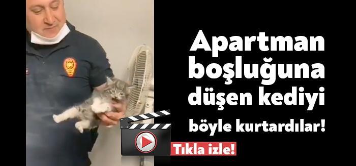 Kocaeli Büyükşehir Belediyesi ekipleri apartman boşluğuna düşen kediyi operasyonla kurtardı.