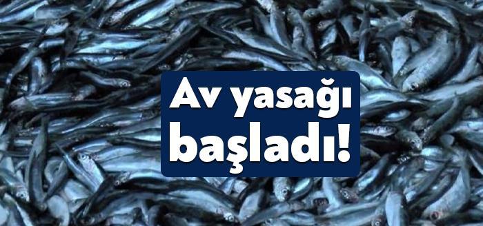 Denizlerde av yasağı başladı. Yasak 1 Eylül'e kadar sürecek. Av