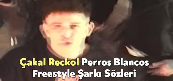akal reckol perros blancos freestyle ark zleri akal reckol perros blancos freestyle ark zleri