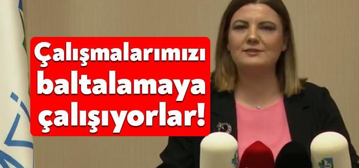 İzmit Belediye Başkanı Fatma Kaplan Hürriyet, Çukurbağ kazı alanı ile