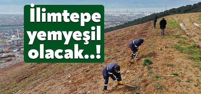 Ağaçlandırma çalışmasını başladığı, Körfez ilçesi İlimtepe Dolgu Alanı’na 8 bin