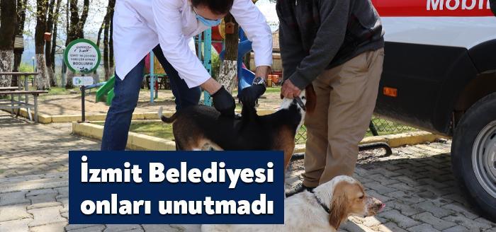 İlçenin farklı yerlerinde dolaşarak sevimli dostlarımızı aşılayan ve ihtiyaç durumuna
