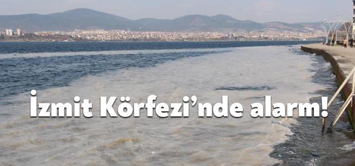 İzmit Körfezi'nde deniz salyası alarmı. İzmit Körfezi üzerinde sabah saatlerinde
