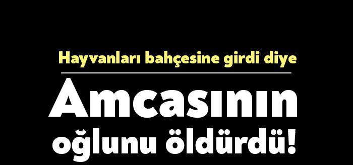Kandıra Bollu Mahallesinde hayvanlarının bahçesine girmesi sonucu tartıştığı amcasının oğlunu