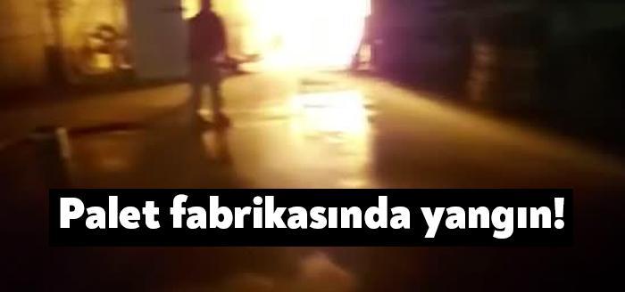 Kocaeli'nin Gebze ilçesinde bulunan bir palet atölyesinde çıkan yangın, itfaiye