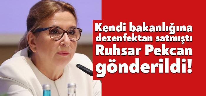 Resmi Gazete'de yayımlanan karara göre Ticaret Bakanı Ruhsar Pekcan'ın görevine
