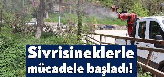 Hava sıcaklığının artmasıyla birlikte çoğalmaya başlayan sivrisineklerin üremesini engellemek amacıyla