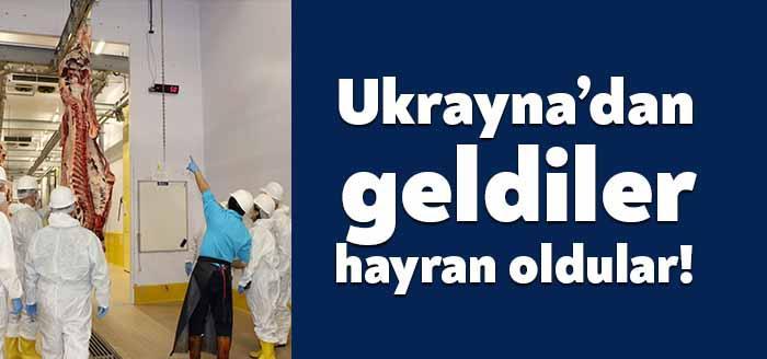 Ukrayna’da mezbaha açmayı düşünen firma yöneticileri Kocaeli Büyükşehir Belediyesi’nin İzmit