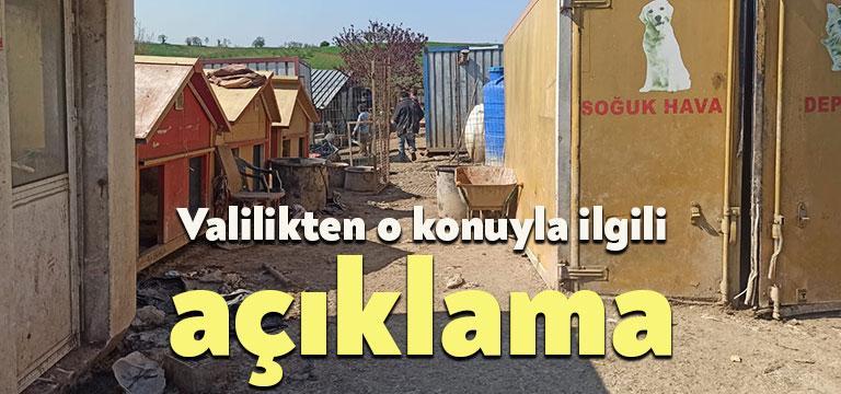 Kocaeli Valiliği, Kandıra’da çok sayıda köpeğin zor şartlarda tutulması ve