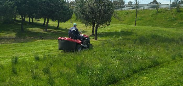 Kocaeli Büyükşehir Belediyesi Park ve Bahçeler Daire Başkanlığı ekipleri, Gebze