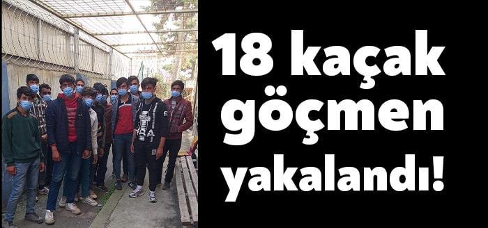 TEM otoyolu üzerinde durdurulan bir yolcu otobüsünde Afganistan uyruklu oldukları