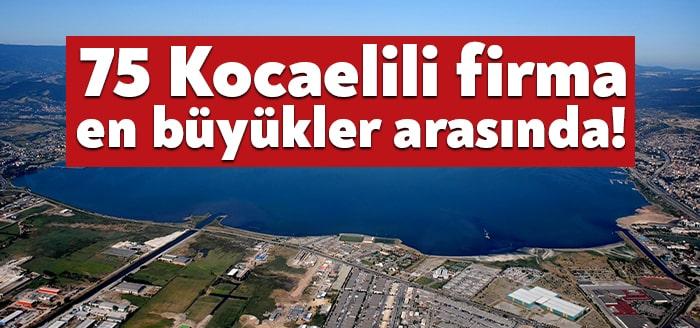 Türkiye’nin 500 büyük sanayi kuruluşu açıklandı. Listede Kocaeli’de üretim yapan