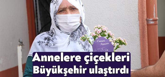 Kocaeli Büyükşehir Belediyesi, şehir dışında eğitim gören öğrencilerin çiçeklerini Kocaeli’nde