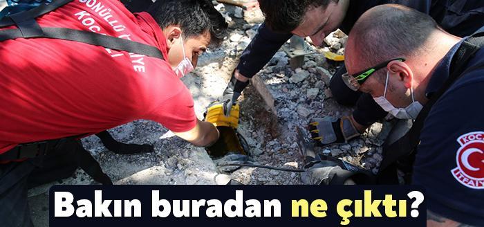 Belediye otoparkında su giderine sıkışan yavru köpekler, annelerinin uyarısı sonrasında