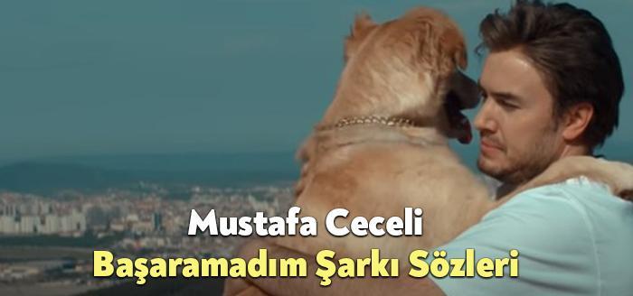 Mustafa Ceceli Başaramadım Şarkı Sözleri, dinleyiciler tarafından merak ediliyor. Mustafa