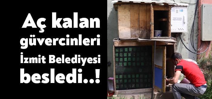İzmit Sanayi Sitesi’ndeki dükkanında bakımını üstlendiği güvercinleri beslemek isteyen ancak