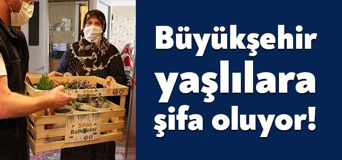 Büyükşehir Belediyesi, ‘Şifalı Balkonlar’ projesi ile 65 yaş üstü vatandaşlara
