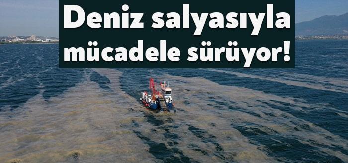 Kocaeli Büyükşehir Belediyesi, İzmit Körfezi’nde etkili olan deniz salyasıyla mücadele