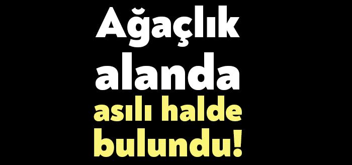 Kocaeli’nin Gebze ilçesinde Barış Mahallesi’nde bulunan ormanlık alanda S.A. adlı