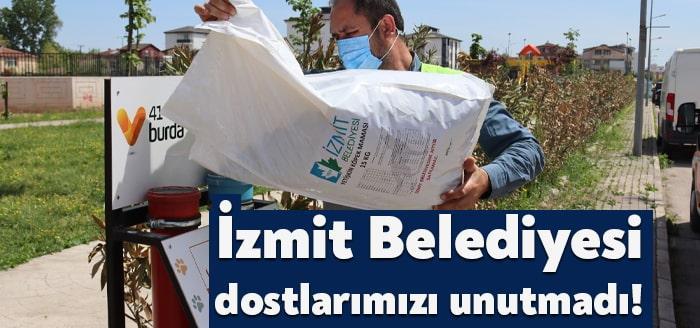 İzmit Belediyesi, sokaktaki dostlarımızın tam kapanma döneminde sıkıntı yaşamaması için