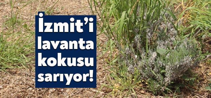 Üreten belediye hedefiyle çalışmalarını sürdüren İzmit Belediyesinin bir buçuk yıl