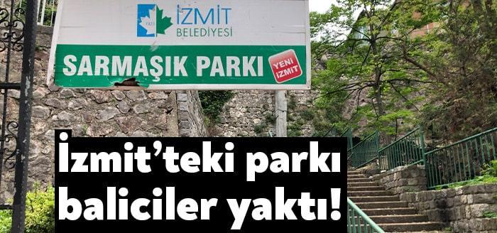 İzmit Terzibayırı ve Çukurbağ mahallelerinin kesişim noktasında yer alan Sarmaşık